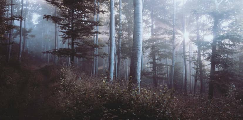 Unauth title chjtHsRk